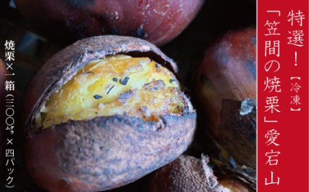 焼き栗 1.2kg(300g×4パック) 冷凍 栗 くり 国産 特選 焼栗 愛宕山 【数量限定 2026/9/20まで受付】 AQ-026