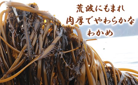 北緯40度ふだいわかめ（湯通し塩蔵わかめ）200g×3袋