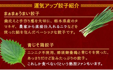 宇都宮餃子 まあまあウマイ餃子 100個 保存料不使用【 餃子 ぎょうざ 冷凍餃子 冷凍食品 惣菜 栃木県 宇都宮市 】※配送不可地域：離島