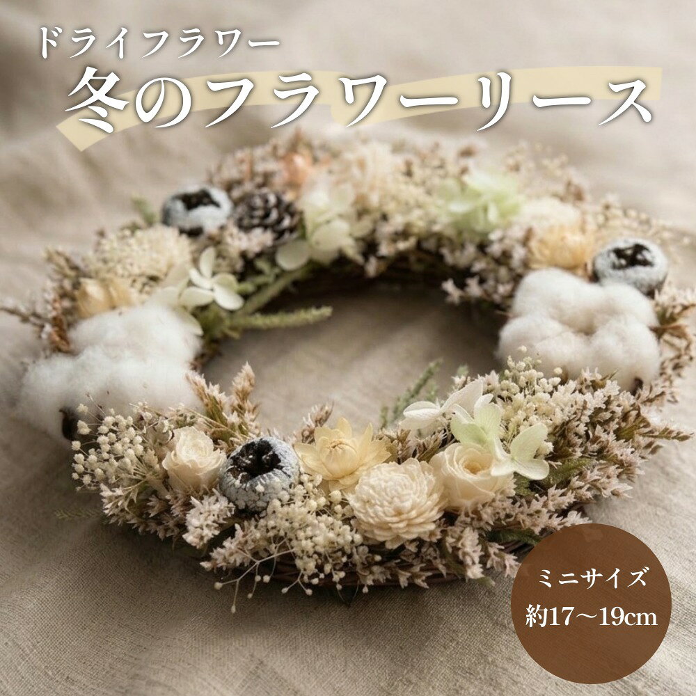 【ふるさと納税】【ドライフラワー】冬のフラワーリース ミニサイズ 約17〜19cm