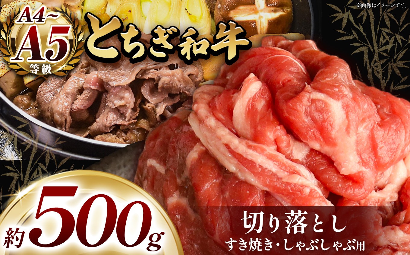 
            最高位賞を受賞！ 訳あり 最高級ブランドの柔らかく風味豊かなとちぎ和牛切り落とし 500g（すき焼き・しゃぶしゃぶ用） | 霜降り 和牛 切り落とし とろける 品質 柔らかく 銘柄牛 安心 安全 美味しい おいしい 芸術品 特産品 ふるさと 納税 栃木県共通返礼品 栃木県 那珂川町 送料無料
          