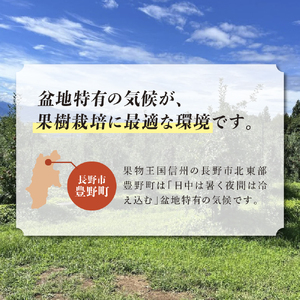 【2025年9～10月発送 先行予約】長野市産　紅玉　約4キロ 果物類 林檎 りんご リンゴ 約4kg フルーツ 