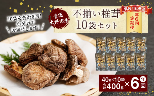 015-962x1 【定期便偶数月発送年6回】不揃い 椎茸 10袋×6回