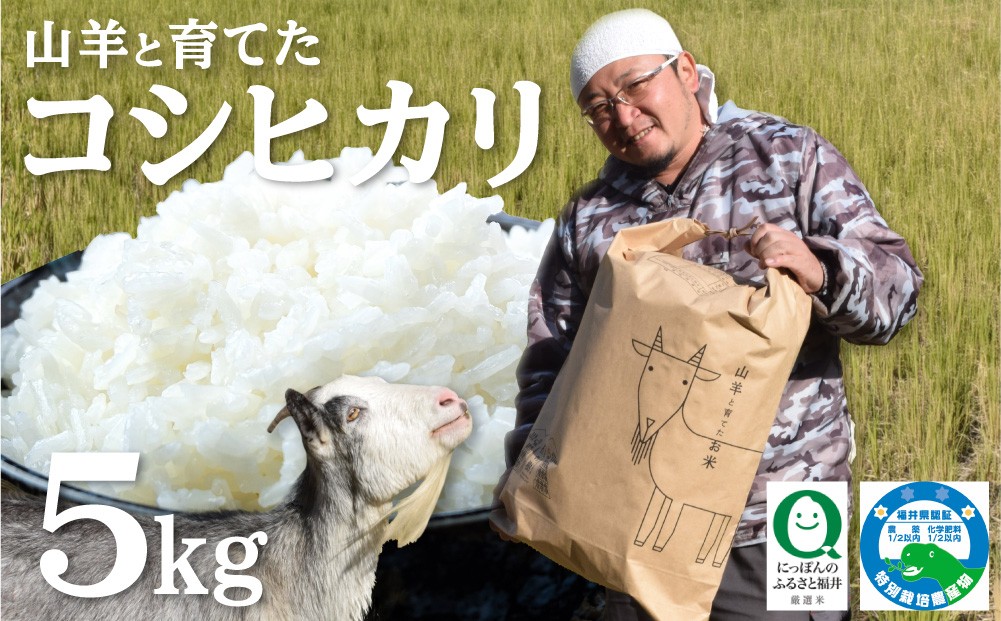 
                  令和8年産 福井県産 特別栽培米 『コシヒカリ』5kg (単一原料米) ＜数量限定＞【山羊と育てた 福井のおいしいお米 お米 米 コメ 白米 精米 棚田米 ごはん ご飯 国産 北陸産 ブランド米 5kg 5キロ】[003-a001-A]
                