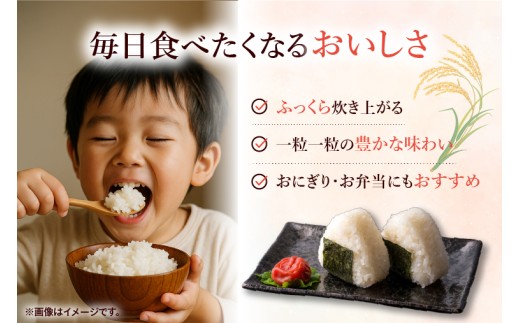 令和7年産 茨城県産 ミルキークイーン10kg（5kg×2袋）【お米 米 コメ こめ こしひかり】(AL169)