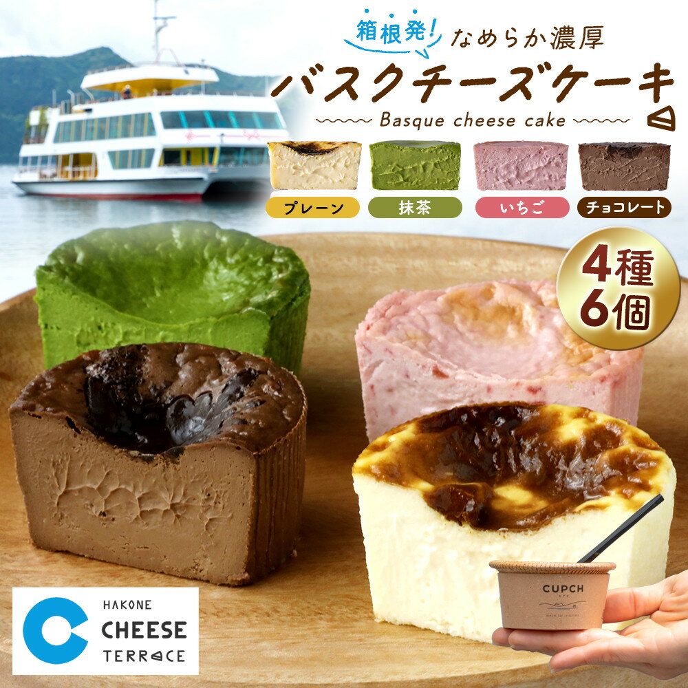 【ふるさと納税】箱根発！なめらか濃厚バスクチーズケーキ 箱根チーズテラス・カプチ 【定番6個セット】 | お菓子 ケーキ チーズケーキ 濃厚バスクチーズケーキ 定番6個セット