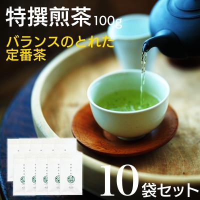 ふるさと納税 新富町 宮崎日本茶専門店　特撰煎茶100g　10本セット