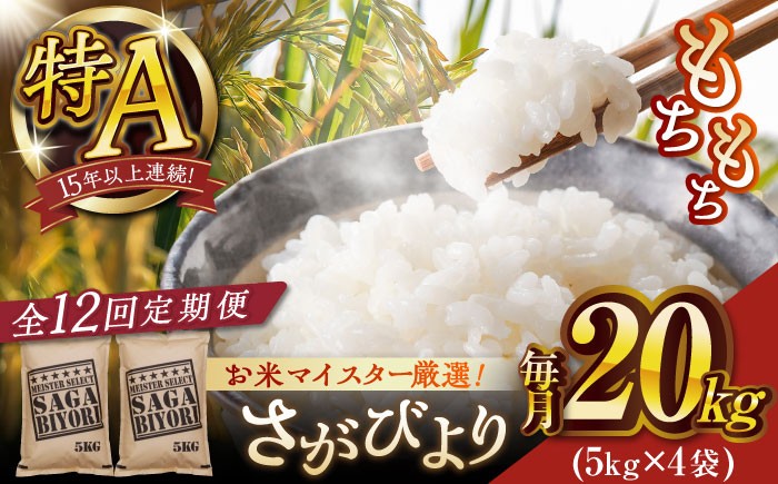 
                  【定期便】【全12回】さがびより白米20kg/総計240kg【大塚米穀店】
                
