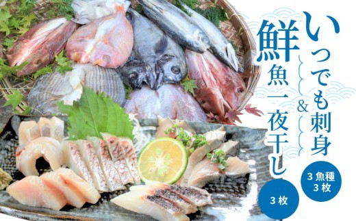 
S059-005_いつでも刺身 3魚種 3枚＆鮮魚一夜干し 3枚セット
