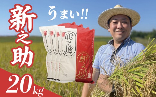 【最短1週間発送!】 令和7年産 新之助 20kg 5kg×4袋 お米 こめ ご飯 ごはん おいしい 新潟 新潟県 米 5kg 20kg 新発田産 新潟産 朝食 昼食 夕飯 炊きたて 精米 ブランド watasho009_2025