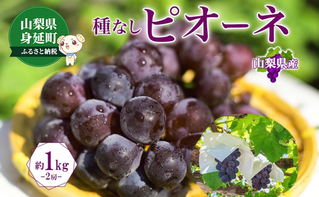 山梨県産 ぶどう ピオーネ 種無し 2房 約1kg 大房 特選 大粒 種なし ブドウ 葡萄 グレープ 果物 フルーツ 旬 もぎたて 朝摘み 朝採れ ギフト 贈答用 お取り寄せ 産地直送 送料無料 山梨