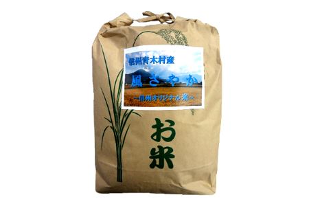 【ふるさと納税】青木村産風さやか10kg（令和7年産）