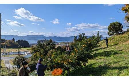 【香りたっぷり】 北限のゆず 果皮 1kg 真空パック 柚子