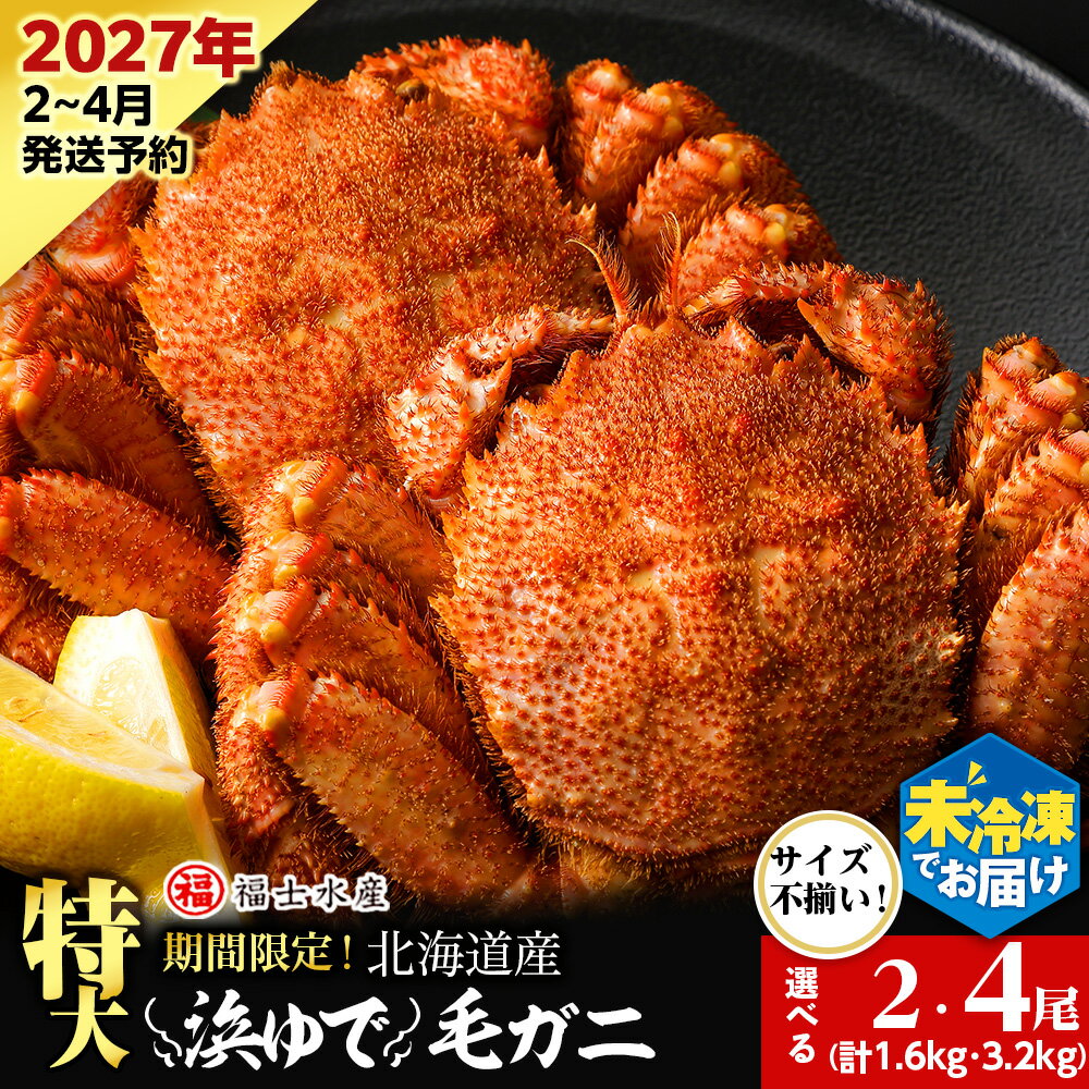 【ふるさと納税】【2027年発送予約】チルドでお届け！ 浜茹で毛ガニ特大サイズ 選べる2尾〜4尾 （不揃い合計約1.6kg〜3.2kg）〈福士水産〉北海道ふるさと納税 利尻富士町 ふるさと納税 北海道 かにふるさと納税 北海道 カニ ふるさと納税 北海道 毛ガニ 毛蟹 冷蔵 新物