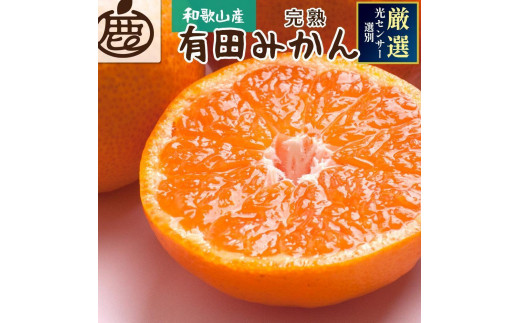 
                  ［先行予約］プレミアム 有田みかん（完熟）10kg+250g（傷み補償分）
                