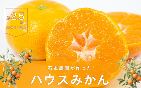 みかん ミカン 蜜柑 ハウスみかん / Sサイズ以上 サイズ混合 石本農園のハウスみかん 2.5kg【2025年7月上旬から下旬に順次発送】【mis010】
