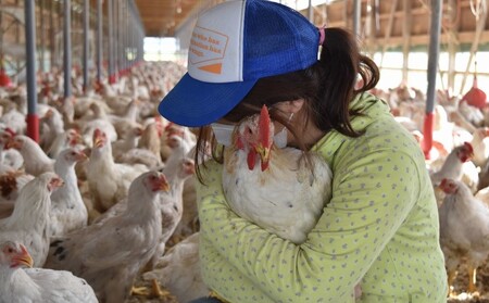 はかた地どり炭火焼セット お肉 鶏肉 加工品 惣菜 冷凍