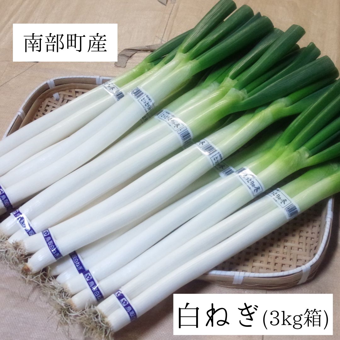 【ふるさと納税】南部町産 白ねぎ（根付き）3kg箱 【12月出荷開始予約】 鳥取県南部町