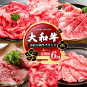 【ふるさと納税】【定期便6回】大和牛 お肉の定期便 A | 肉 にく ニク お肉 牛肉 黒毛 和牛 赤身 国産 大和牛 切り落とし 冷凍 すきやき ロース 焼肉 小間切れ 奈良県 五條市