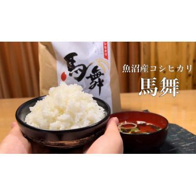 ふるさと納税 十日町市 【毎月定期便】魚沼産コシヒカリ[馬舞] 白米 5kg全12回 |  | 01