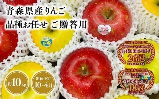 
                  2026年産  ≪選べる発送月≫　品種お任せ　贈答用　旬のりんご詰め合わせ10㎏【青森県 平川市 そと川りんご園】贈答 青森 青森県産 平川 りんご リンゴ 林檎 くだもの 果物 フルーツ 
                