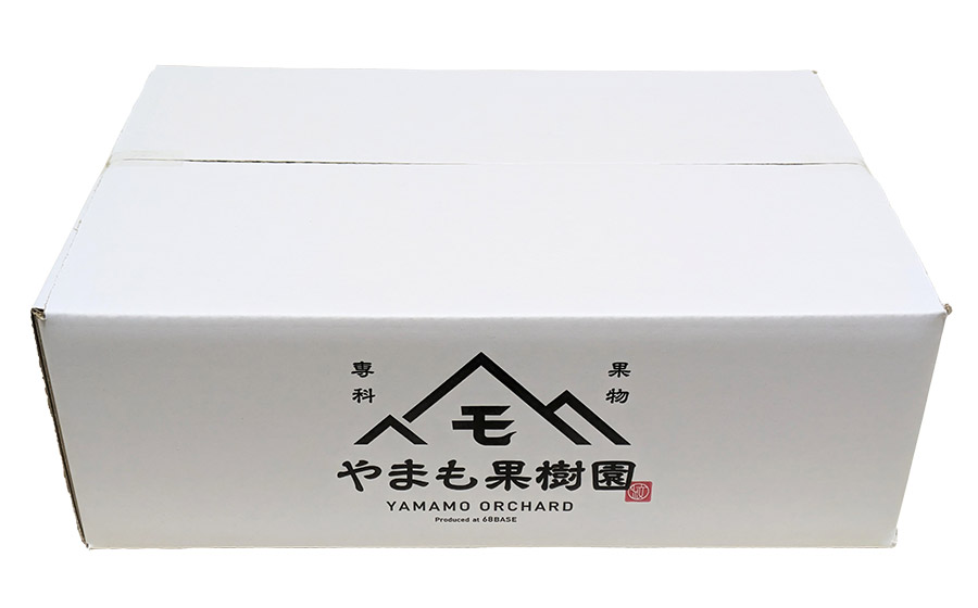 【令和7年産先行予約】洋梨　ラ・フランス　約3kg（10～12玉） やまも果樹園