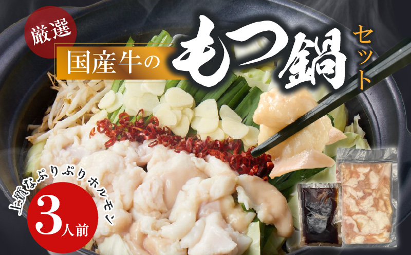 【食肉総合卸 丸正】厳選国産牛のもつ鍋セット（3人前）