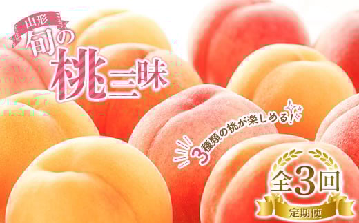 《先行予約 2026年度発送》3種類の桃が楽しめる！山形 旬の桃三昧定期便  もも モモ 桃 デザート フルーツ 果物 くだもの 果実 食品 山形県 FSY-2470