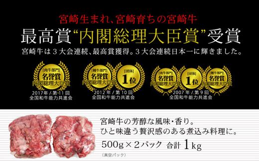 ＜宮崎牛＞牛すじ（煮込み用） 合計1kg（500g×2パック）※90日内に出荷【B227】