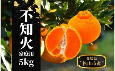 【不知火】家庭用 約 5kg ＜2026年2月末～4月頭頃発送＞愛媛 松山 みかん 先行予約 蜜柑 柑橘 果物 くだもの フルーツ お取り寄せ グルメ 期間限定 数量限定 人気 おすすめ 愛媛県 松山市【PT028_x】