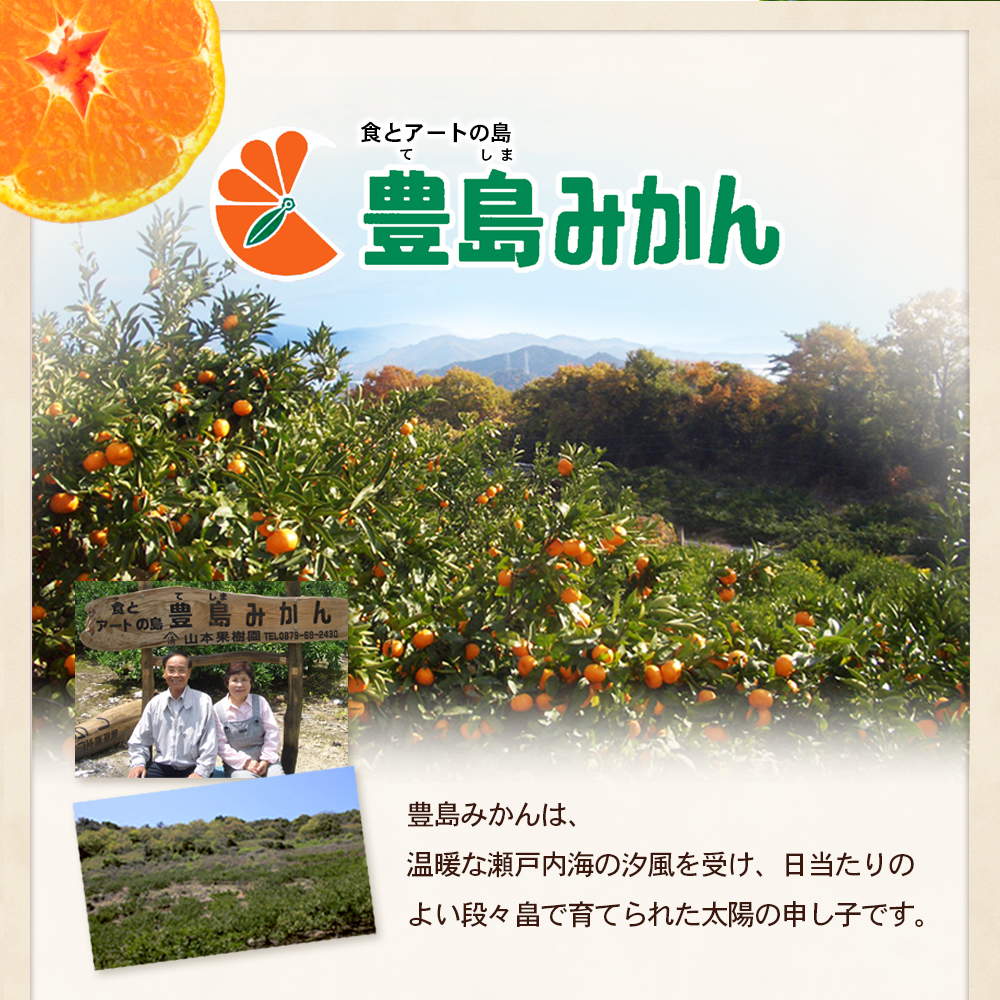 【 小豆島 】瀬戸内海に浮かぶ島・豊島の段々畠で育てられた甘～いみかん（Mサイズ5kg）1箱 豊島 みかん 蜜柑 ミカン 甘い 瀬戸内海 てしま 柑橘 フルーツ 果物 くだもの 香川 香川県 土庄 土庄町