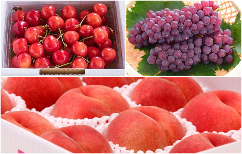 
            08-08-021　天童特選フルーツめぐり(定期便)全3回
          