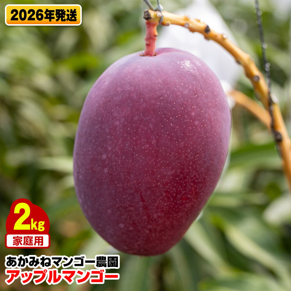 【ふるさと納税】【2026年発送】あかみねマンゴー農園　家庭用アップルマンゴー2kg