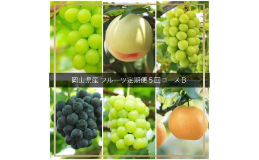 JZ-1【令和8年発送・先行予約】フルーツ定期便５回コースB