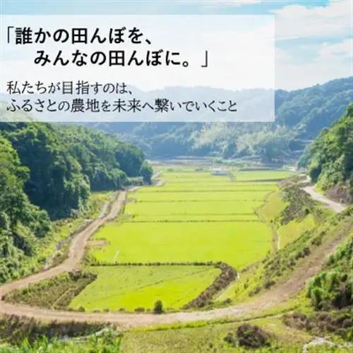 令和8年産(2026年産)　新米!小浦れんげ米(にじのきらめき)【玄米】 5kg【1684643】