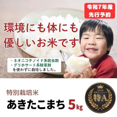 ふるさと納税 大仙市 令和7年産「特別栽培米あきたこまち」精米5kg おこめのさわた 秋田県産