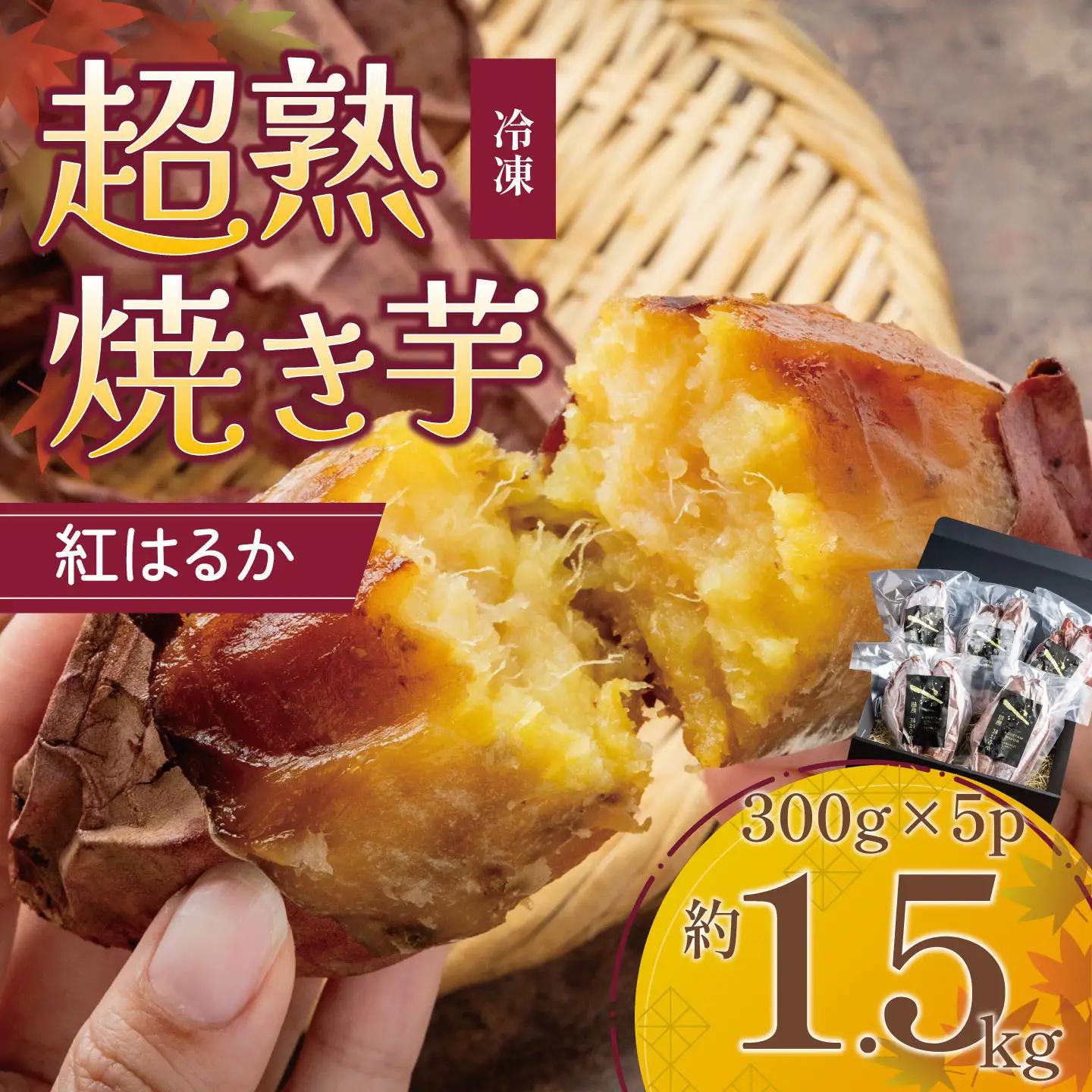 先行予約 焼き芋 超熟焼きいも 約1500g 個包装化粧箱