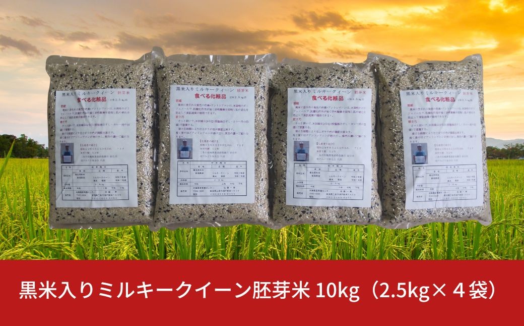 
            黒米入りミルキークイーン胚芽米 10kg（2.5kg×４袋） 朝紫 令和７年産  [佐藤農産有機センター]【010S843】
          