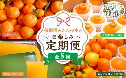 【先行予約】「果樹園みかんの木」のお楽しみ５回定期便コース　みかん ミカン 蜜柑 温州みかん 完熟みかん 甘熟 柑橘 しらぬひ でこぽん デコポン みかんジュース ストレートジュース 100％ジュース 有機栽培 国産 佐賀県産 太良町 こだわり 贈答品 産地直送 詰め合わせ 定期便 佐賀県 太良町 R37