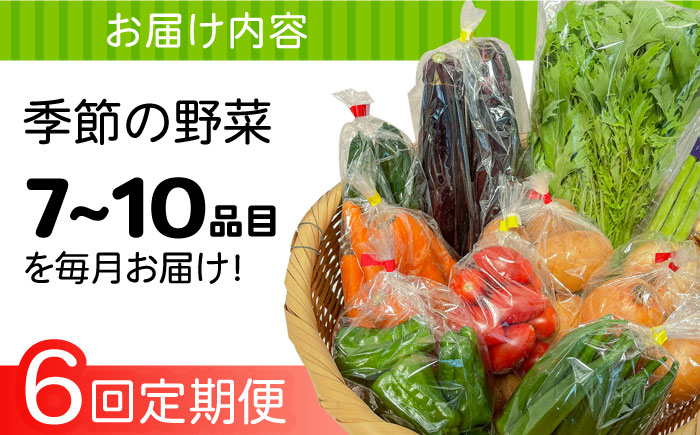 【6回定期便】直売所より発送！季節の野菜セット 7～10品目 / 野菜定期便 やさい定期便 野菜 やさい 旬 詰め合わせ / 南島原市 / ながさき南部生産組合 [SBW004]