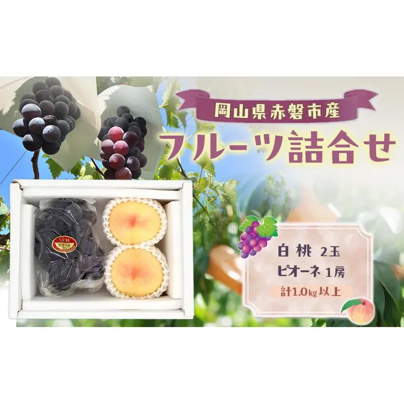 桃 ぶどう 数量限定 岡山 白桃 2玉 ピオーネ 1房 詰合せ 計1.0kg以上 桃 ぶどう