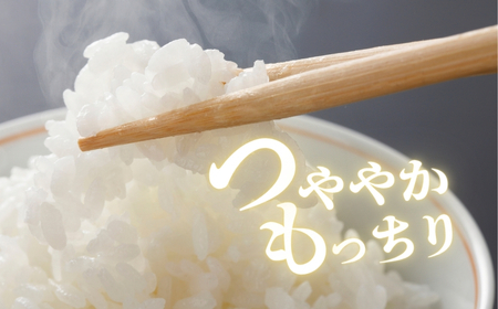 長野県産 もち米 3kg 令和7年産|もち米3kg 