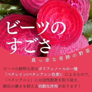 レッド パワー ビーツ 1.5kg | 野菜 ビーツ 生ビーツ レッドパワー レッドパワービーツ 新鮮 長野県 信州 南信州 飯田市