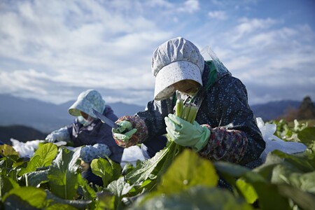 なめ茸 人気3種セット (160g×各2本) 計6本|なめ茸