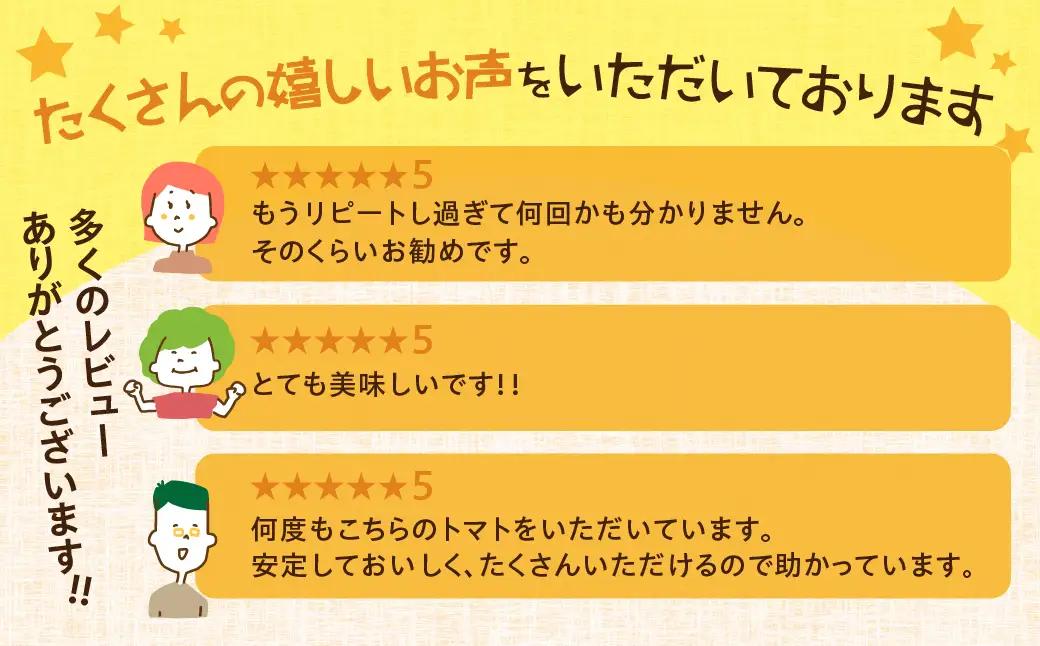 【2026年10月～発送】大容量 トマト 4kg 訳あり トマト ポットファクトリー