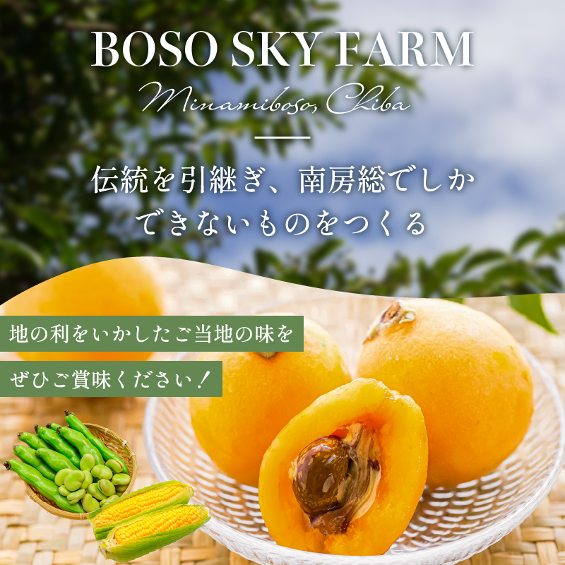 【先行受付 2025年6月上旬～7月中旬発送予定】数量限定！ヤングコーン(ベビーコーン）50本 野菜 バター醤油 炒め物 皮付き 髭付き サラダ 生野菜