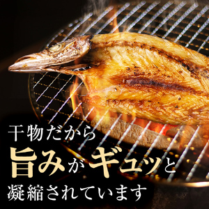 〈日本海氷見の幸７種〉 鱈場おすすめ一夜干し「カマス」「アジ」「いわし丸干し」と昆布〆お刺身３種！氷見のお刺身醤油付き！ 魚貝類 加工食品 魚介類 干物  一夜干し 醤油 昆布締め 富山湾 氷見