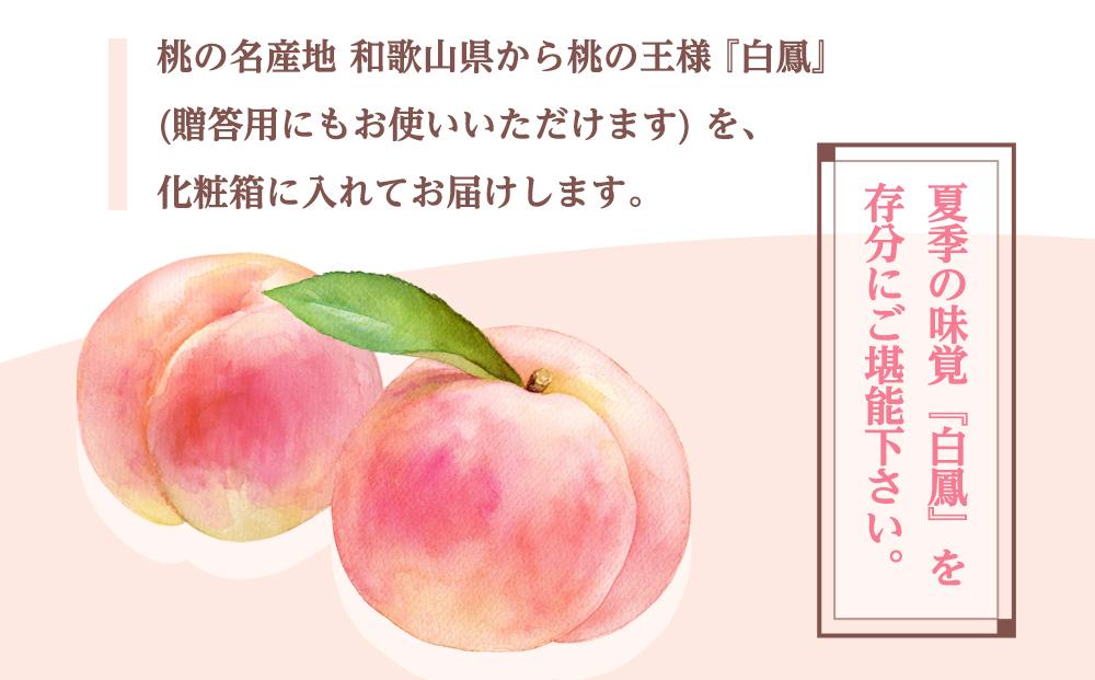 和歌山県産 白鳳 桃 5～8玉入り 秀品 先行予約【2025年6月下旬以降発送】【MG6】