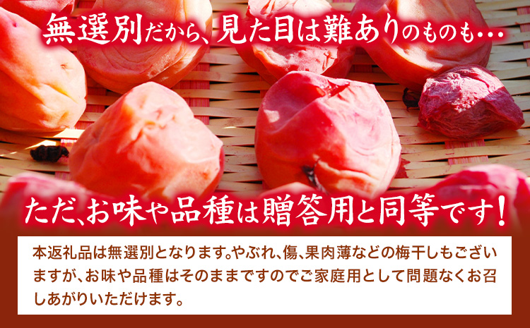 紀州南高梅使用 しそ仕込み完熟梅干し 無選別 1kg 厳選館《90日以内に出荷予定(土日祝除く)》和歌山県 日高町 梅干し しそ仕込み 紀州南高梅 送料無料(F)