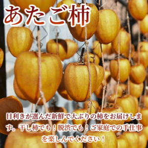 三好市産 あたご柿 5kg （15玉～20玉） 果物 フルーツ かき カキ 【渋柿】